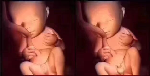 北京检验胎儿性别
